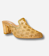 Women PartyWear Shoes m0501x
