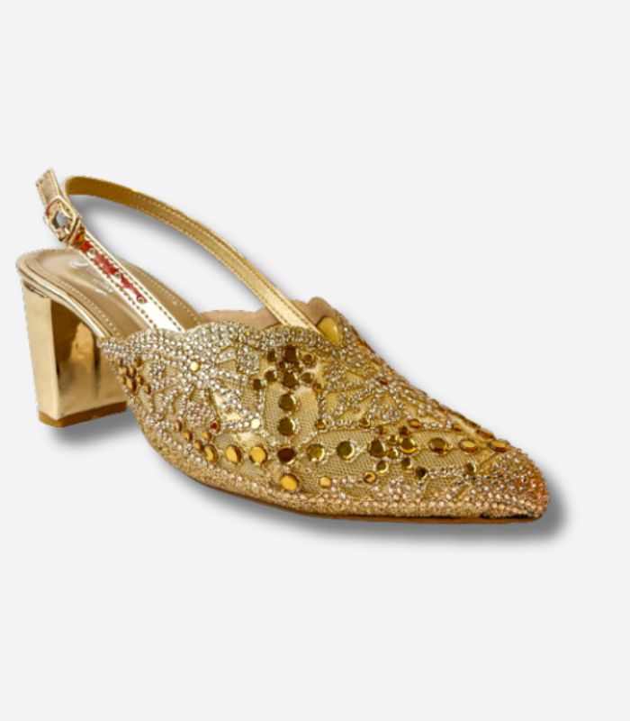 Women PartyWear Shoes G04669x