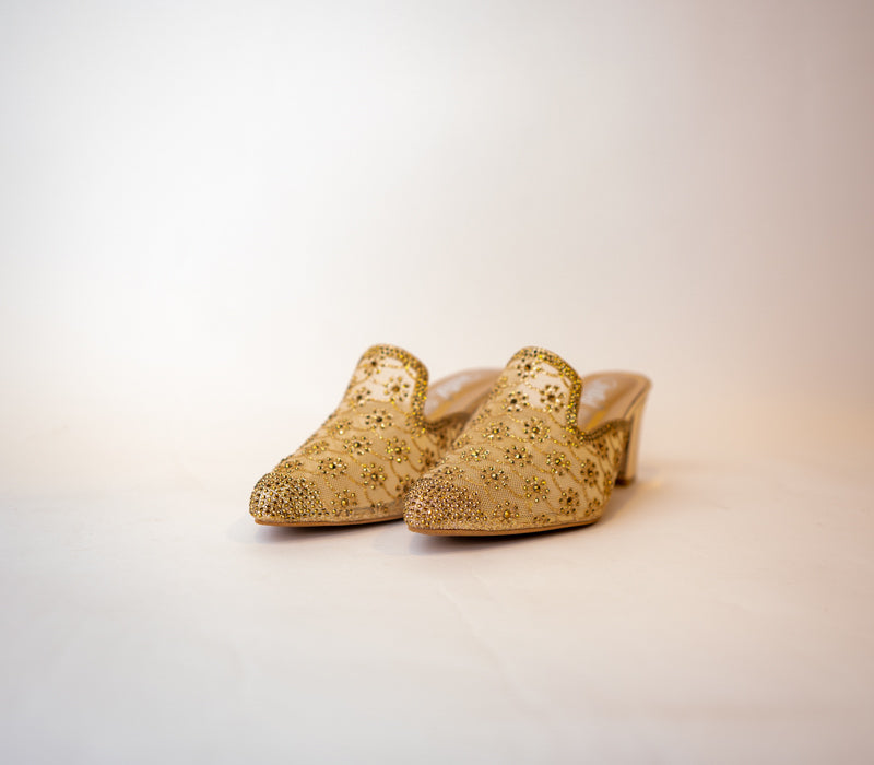 Women PartyWear Shoes m0501x