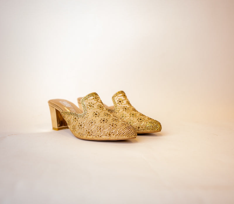 Women PartyWear Shoes m0501x