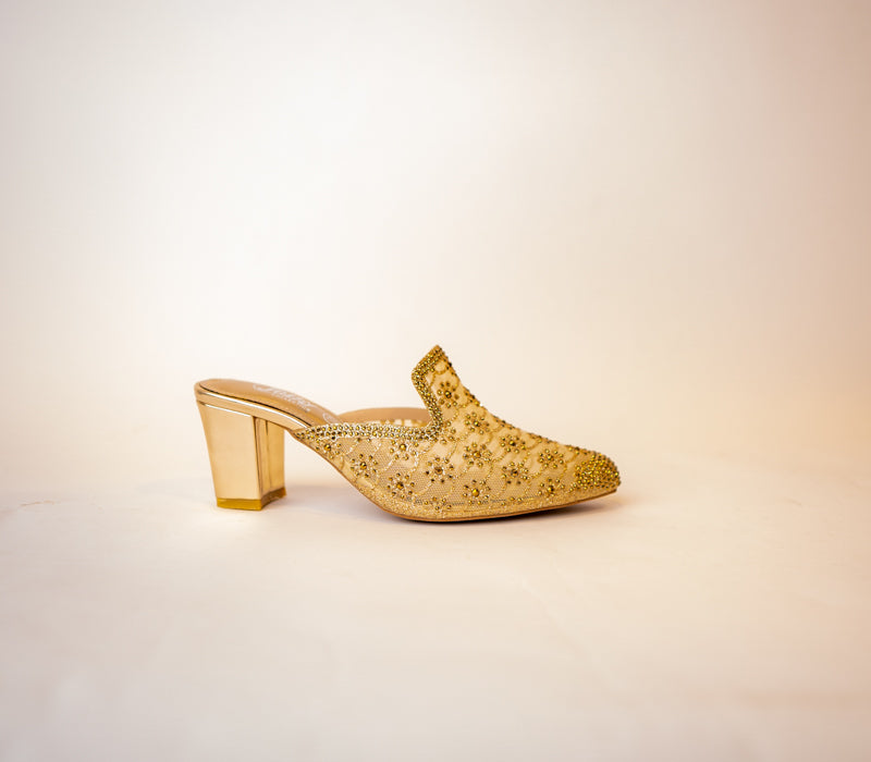 Women PartyWear Shoes m0501x