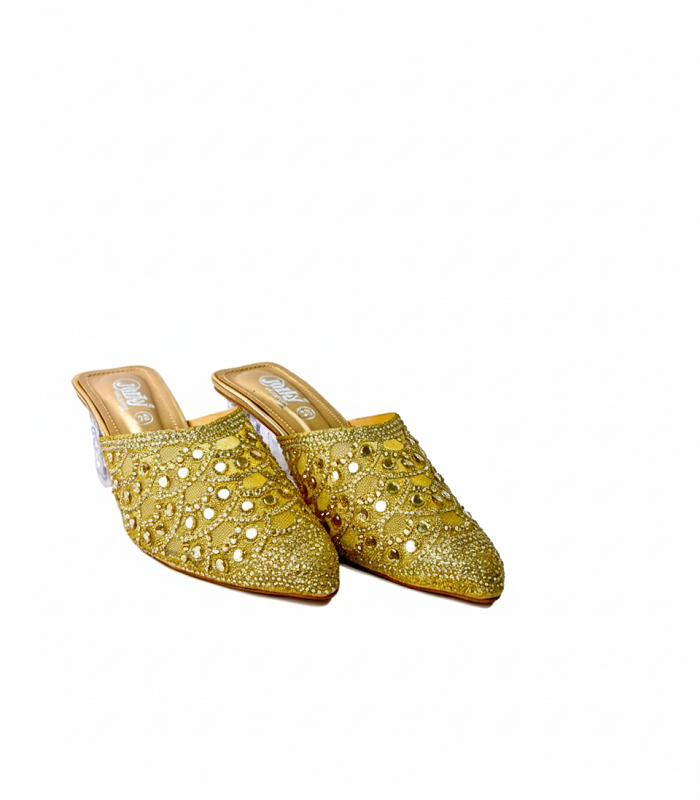 Women PartyWear Shoes m0499x