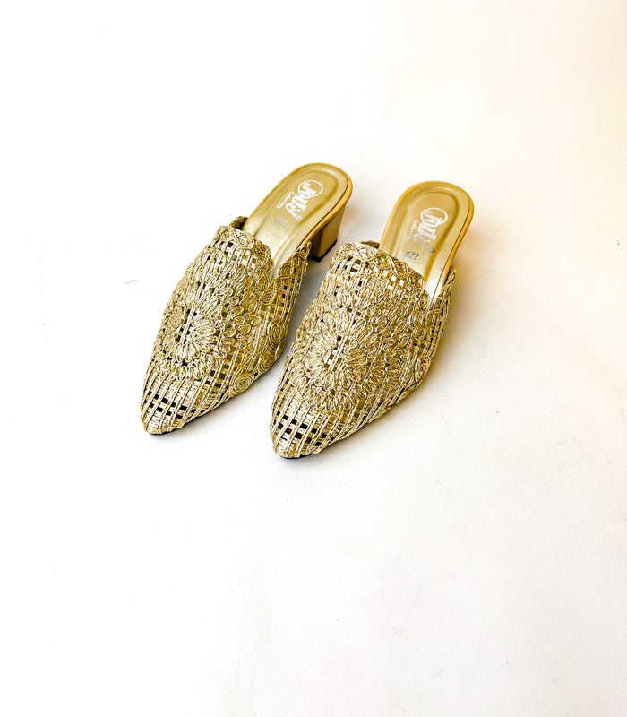 Women PartyWear Shoes m0510x